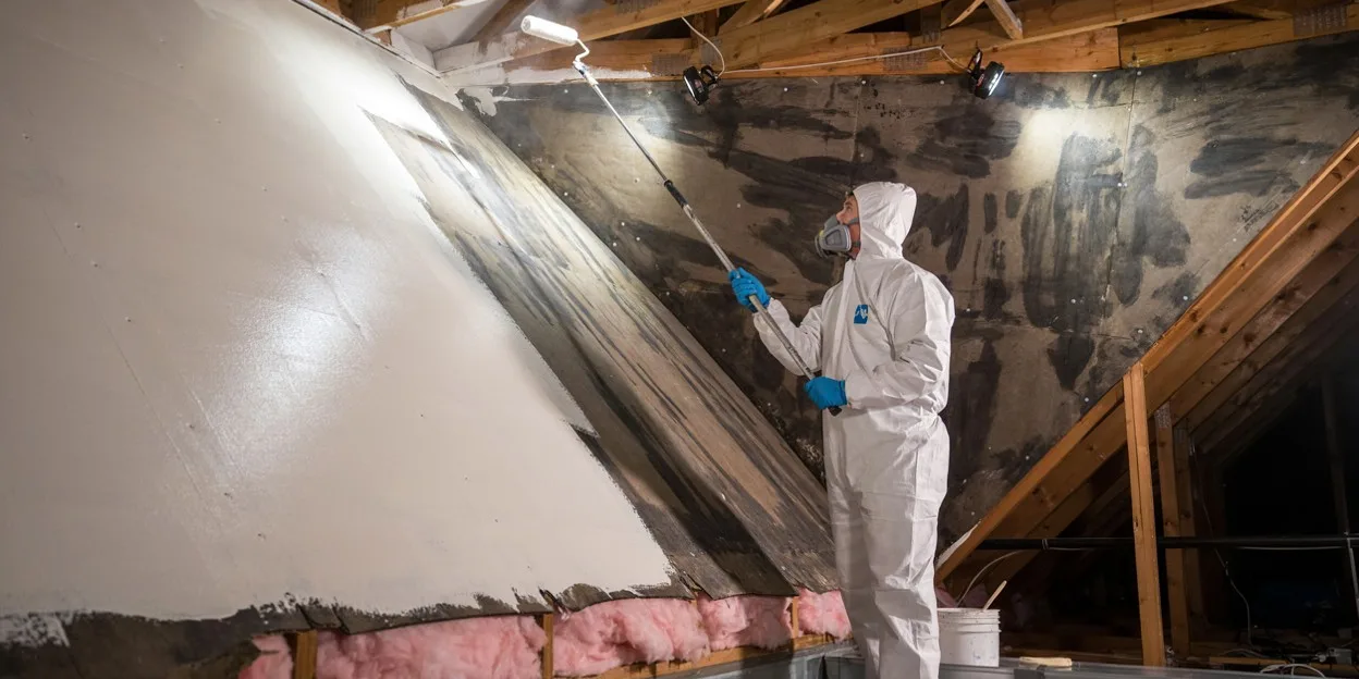 Attic Mold Remediation in Pembroke Pines, FL